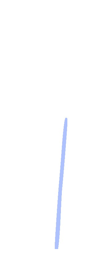 Medial Crest