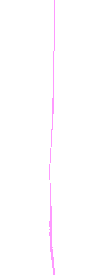 Anterior Border