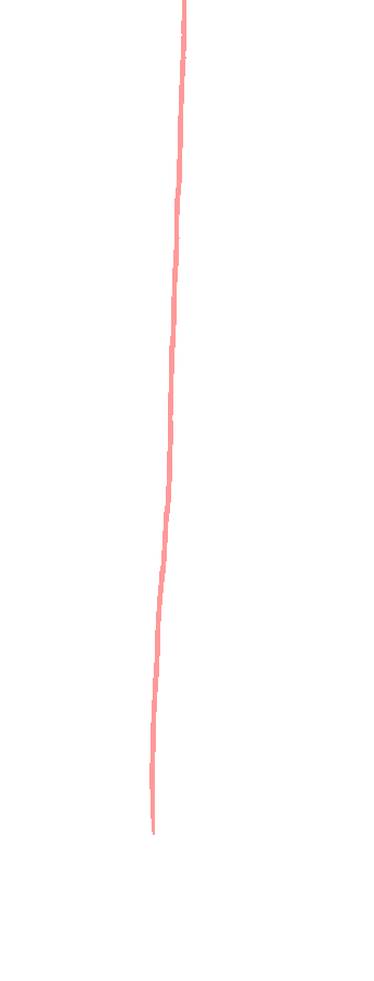 Interosseous Border
