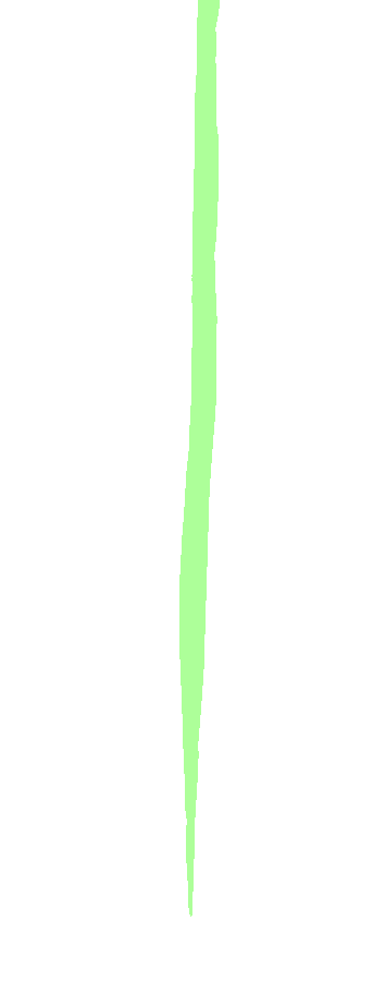 Lateral Surface