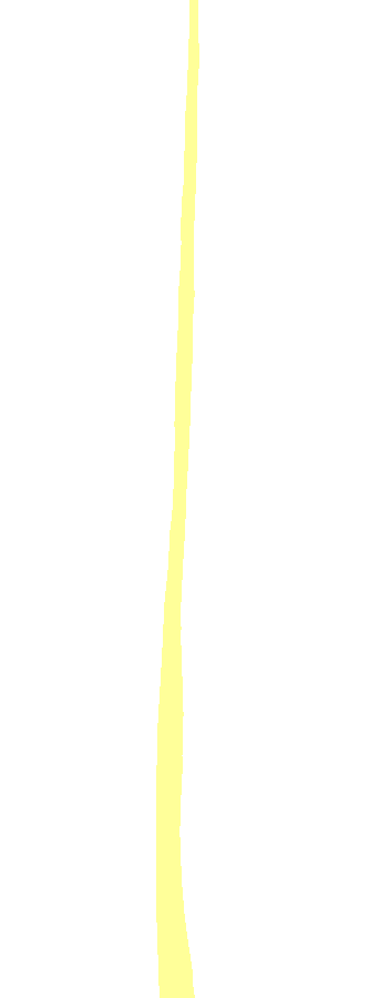Medial Surface