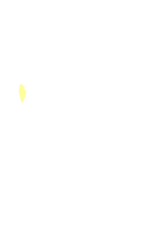 Anterior Inferior Iliac Spine