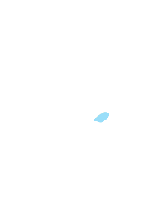 Posterior Inferior Iliac Spine