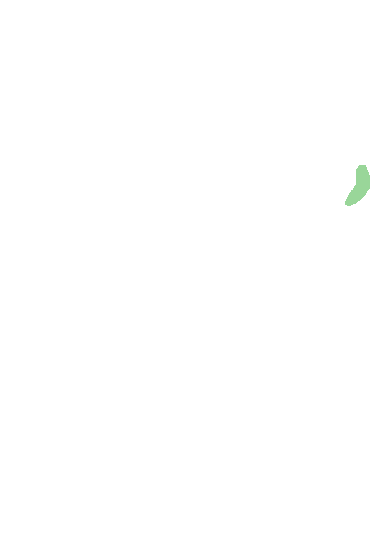 Anterior Superior Iliac Spine