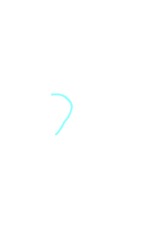 Greater Sciatic Notch