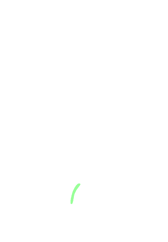 Lesser Sciatic Notch