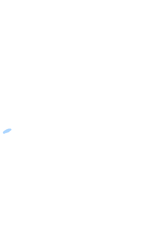 Pubic Tubercle