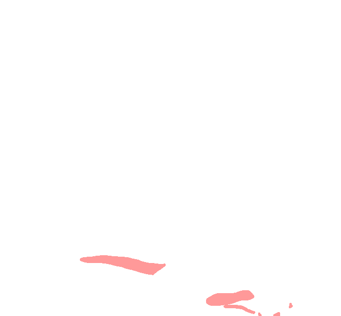 Long Plantar Ligament