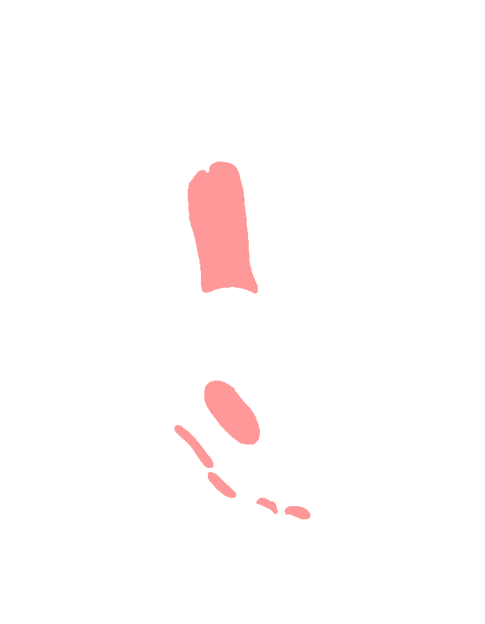 Long Plantar Ligament