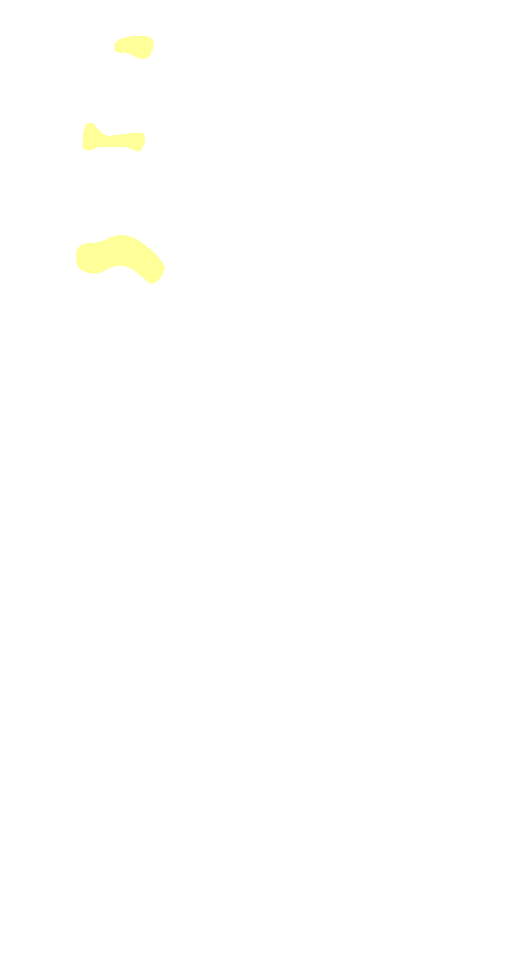 Head