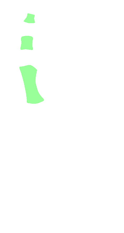 Shaft