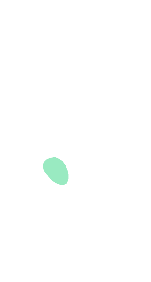 Iliotibial Tract