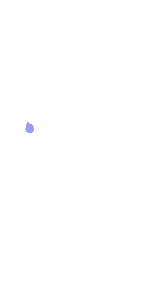 Popliteus