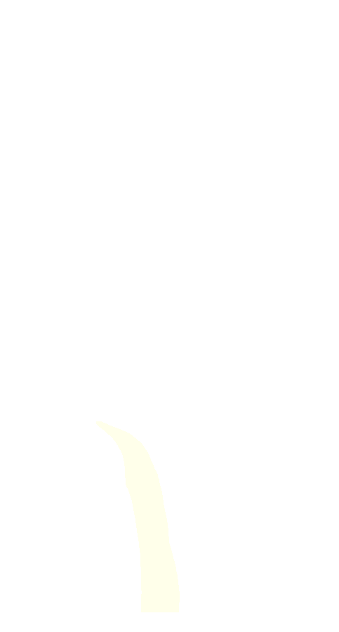 Tibialis Anterior