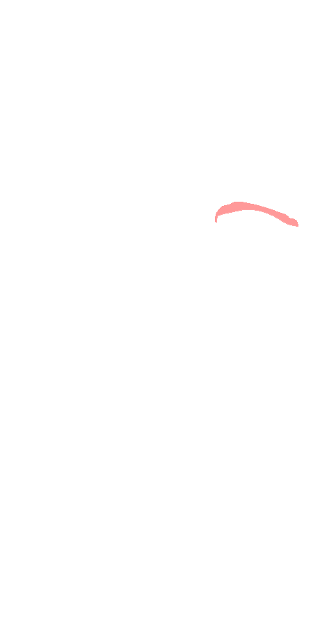 Vastus Intermedius