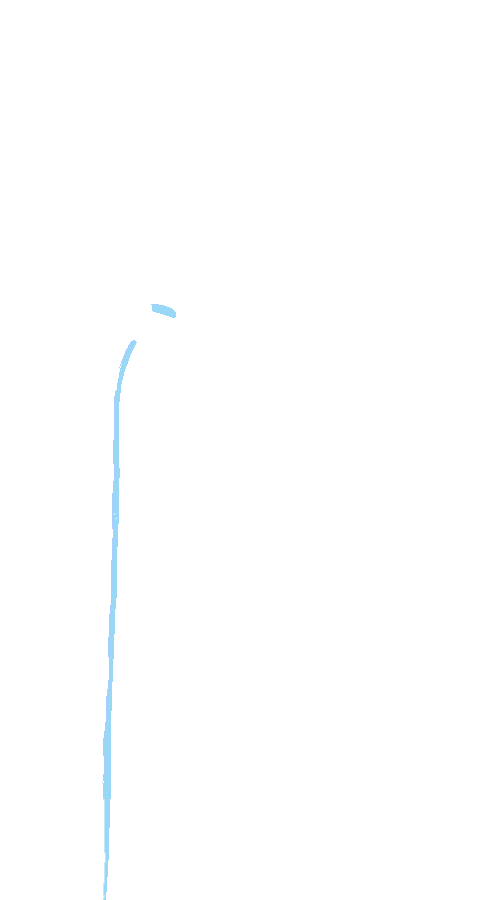 Extensor Digitorum Longus