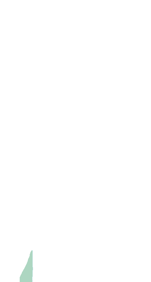 Peroneus Brevis