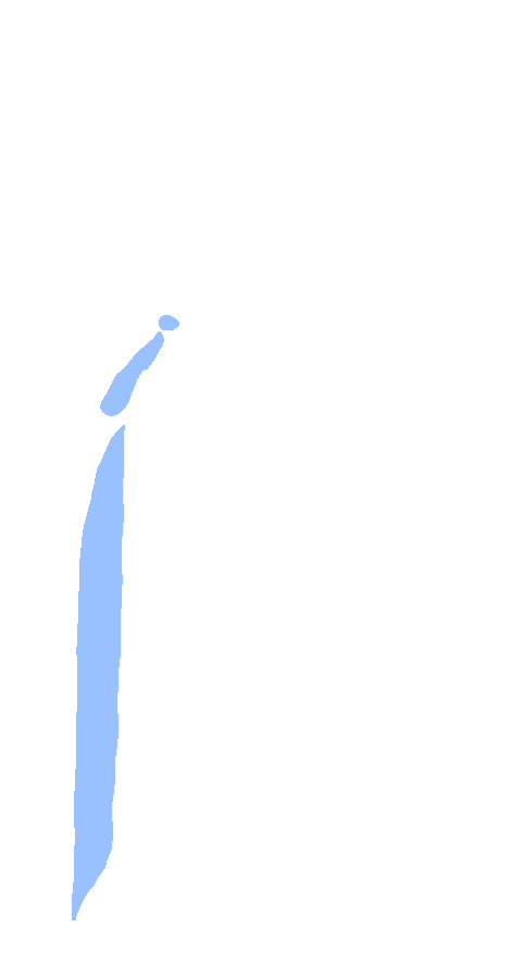 Peroneus Longus