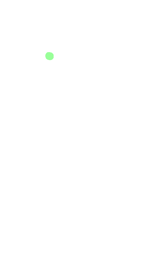 Popliteus