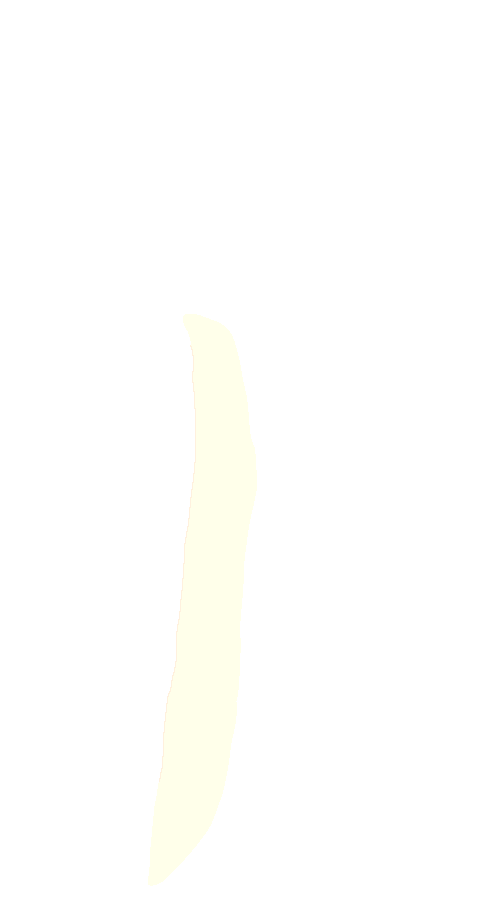Tibialis Anterior