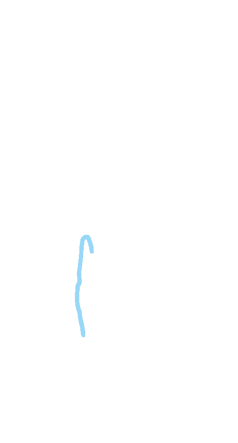 Sartorius