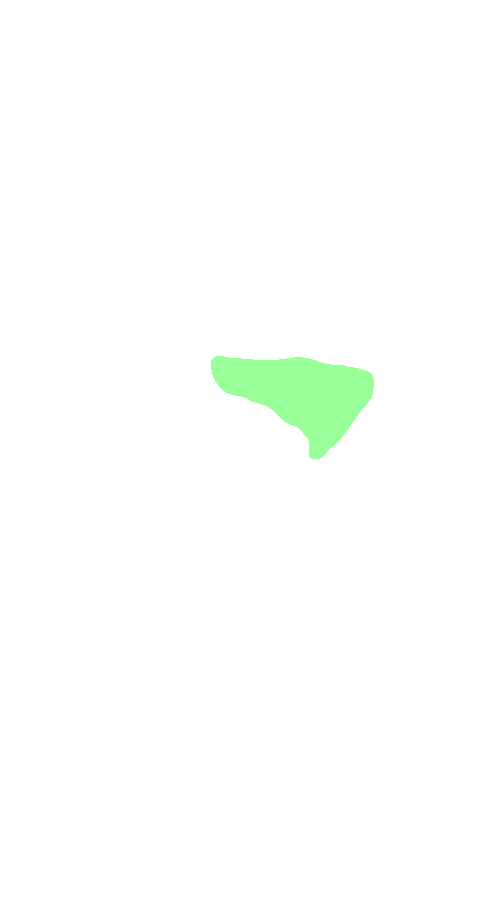 Semimembranosus