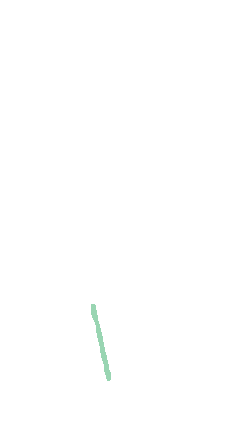 Semitendinosus