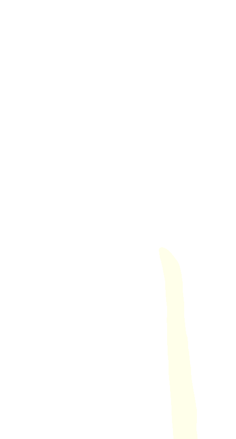 Tibialis Posterior