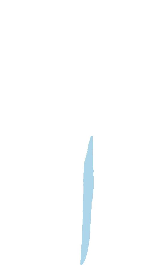 Flexor Digitorum Longus