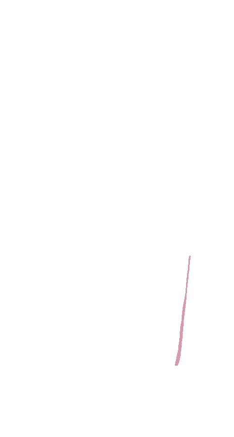 Peroneus Longus