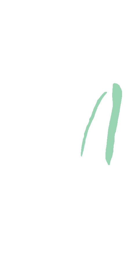 Soleus