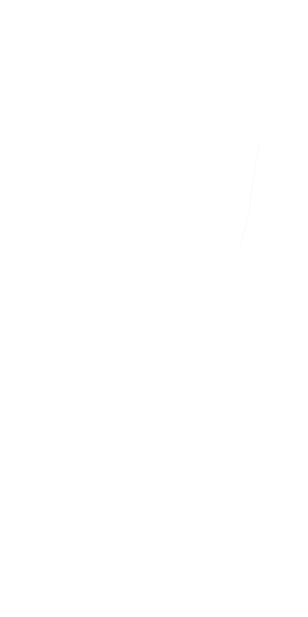 Gluteus Maximus
