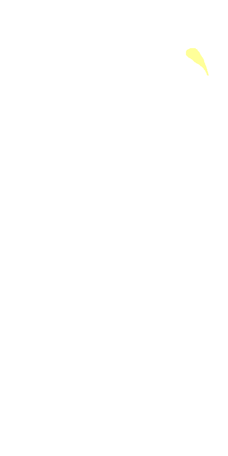 Gluteus Medius