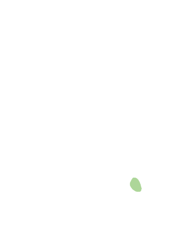 Pubic Tubercle