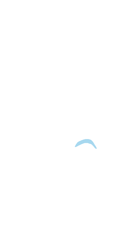 Head
