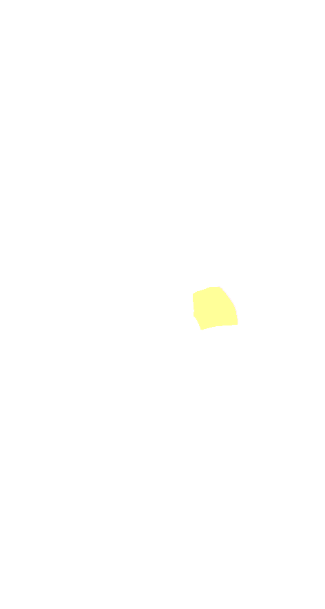 Intermediate Cuneiform