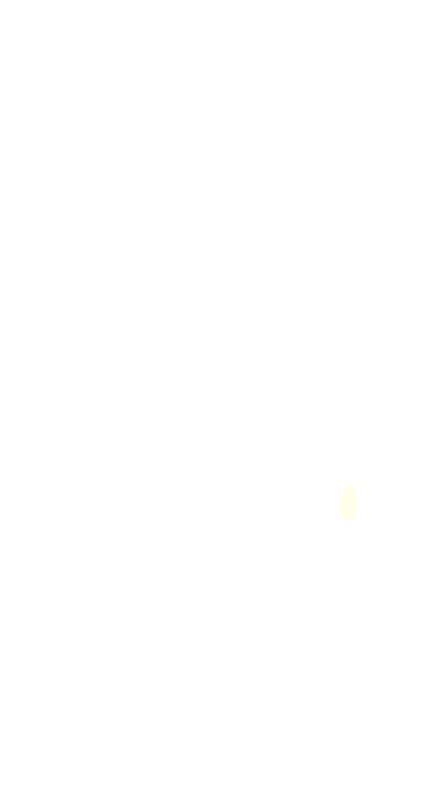 Navicular Tuberosity