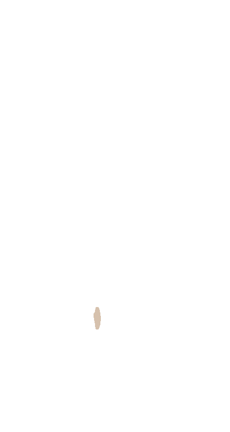 Peroneal Trochlea