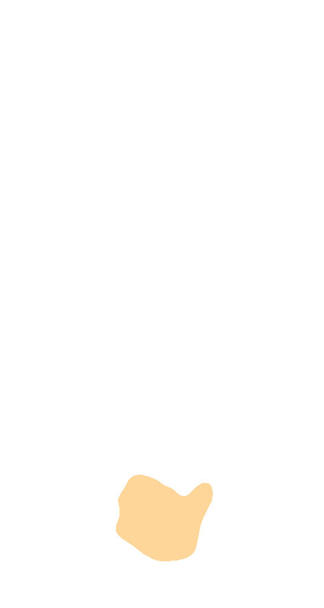 Tuberosity