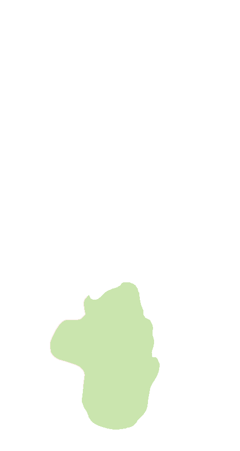Calcaneus