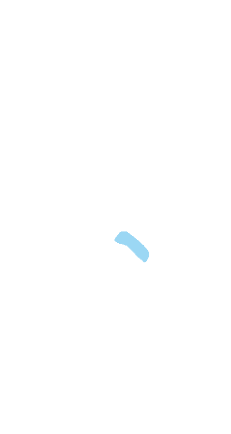 Groove for Peroneus Longus
