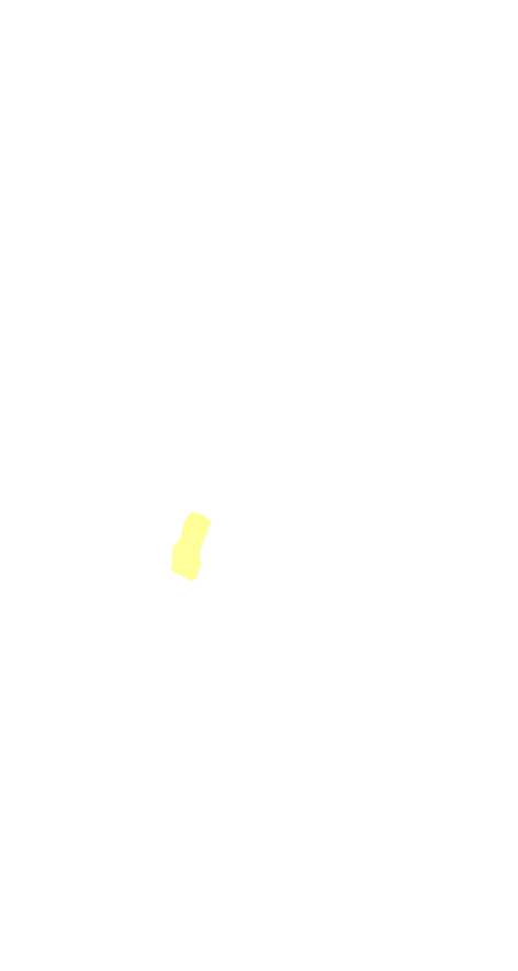 Intermediate Cuneiform
