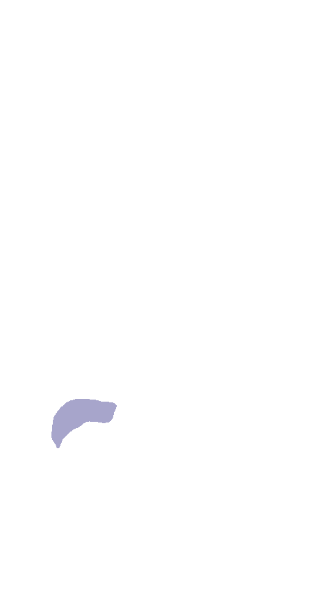 Head