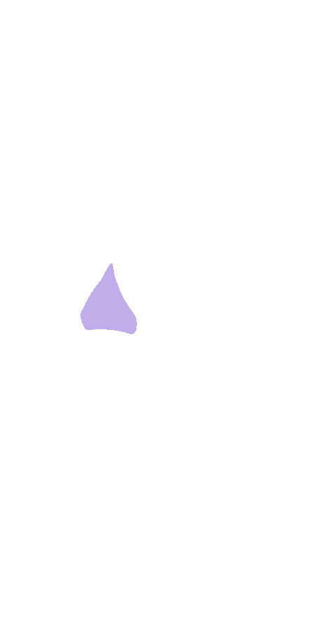 Lateral Process