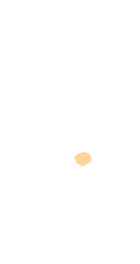 Lateral Tubercle