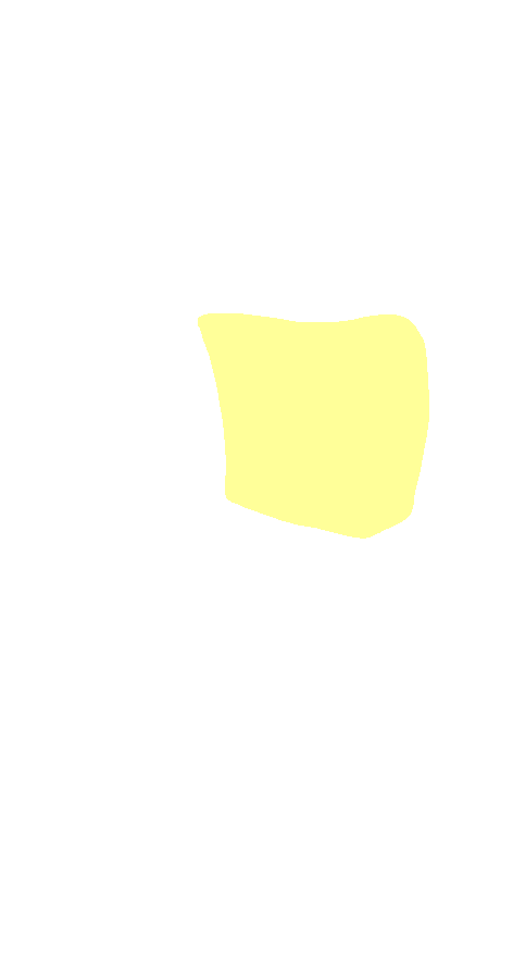 Trochlear Surface