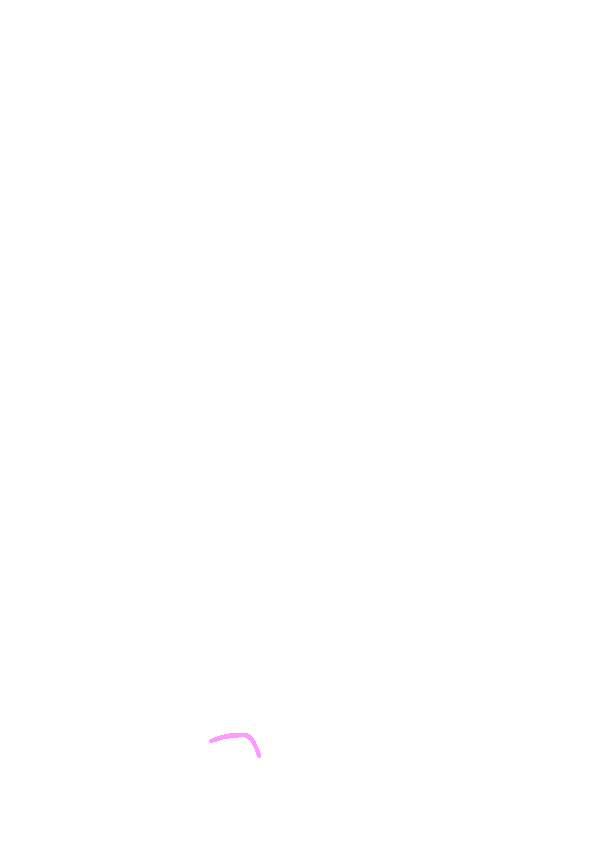 Fibular Notch