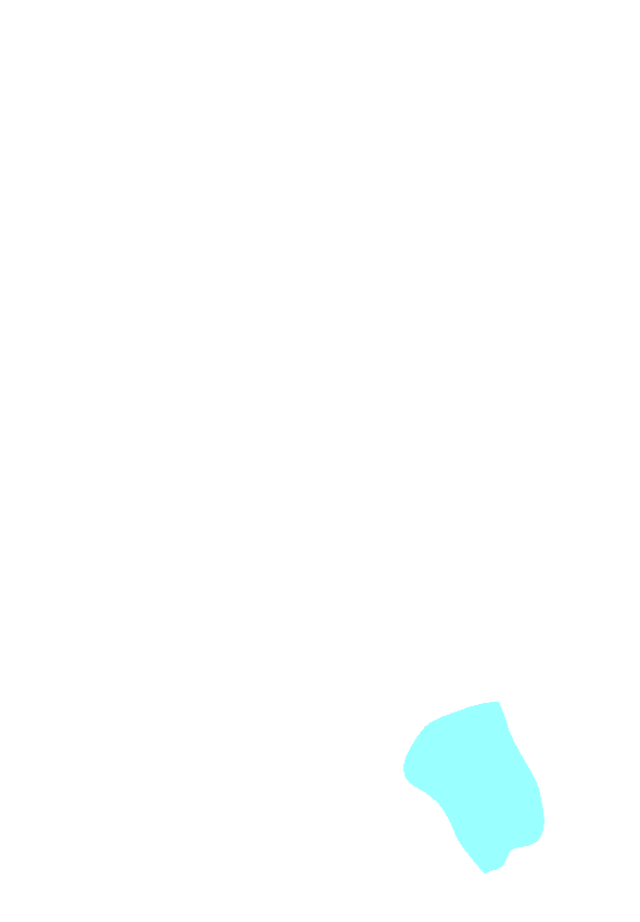 Medial Malleolus