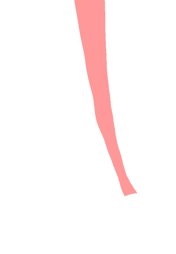 Medial Surface