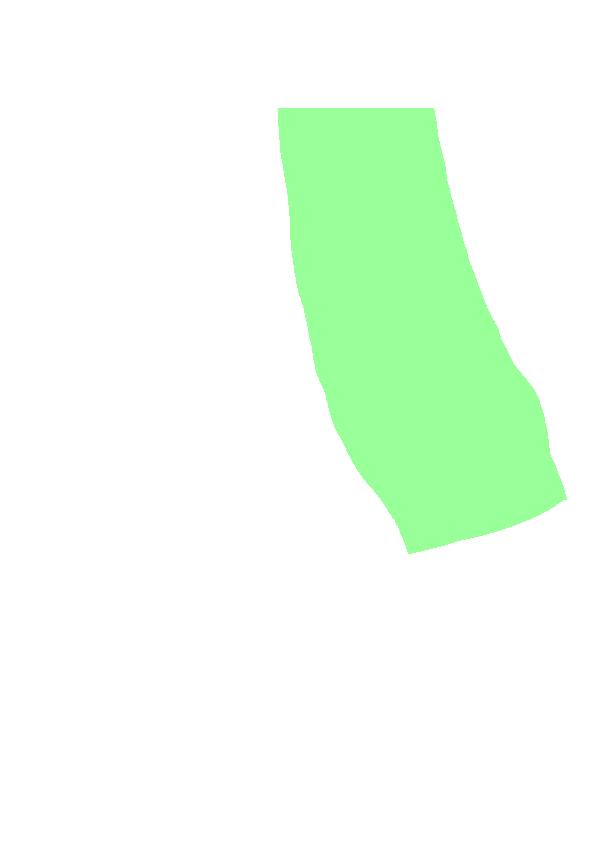 Medial Surface